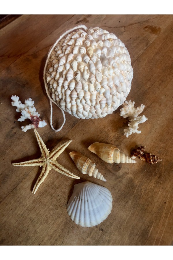 Olaes Shell Ball